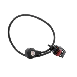 Diginue Auto Parts