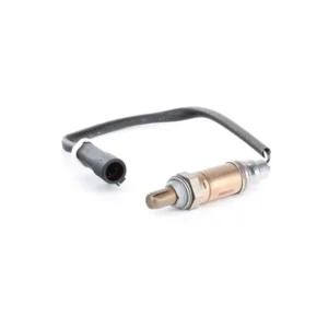 Diginue Auto Parts