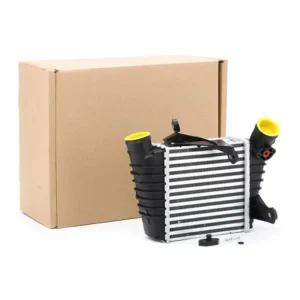 Diginue Auto Parts